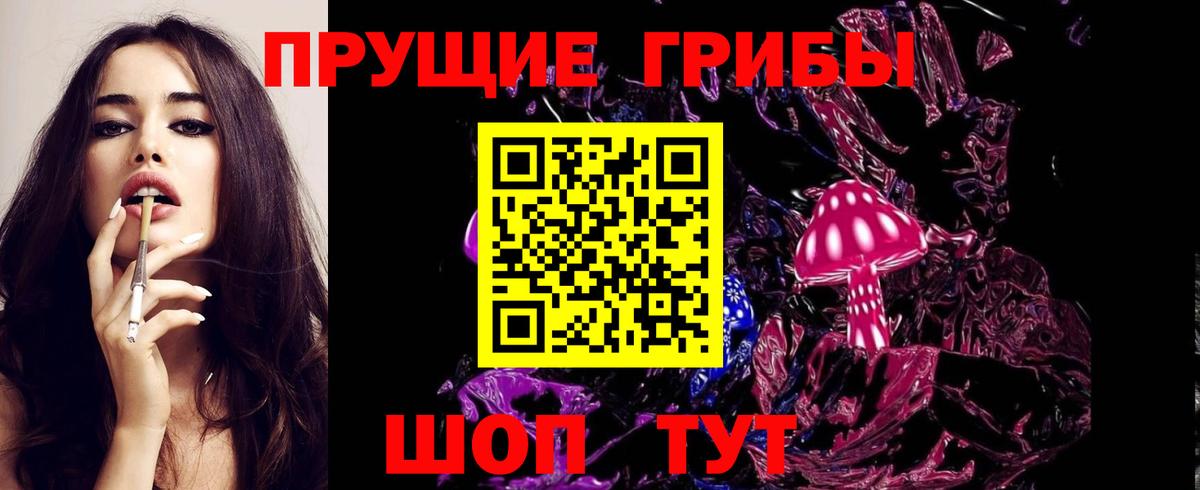 Элиста  наркота  Вход с VPN  Галлюциногенные грибы Psilocybine cubensis 