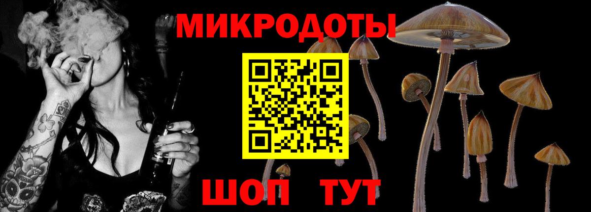 Галлюциногенные грибы Cubensis Элиста